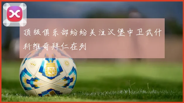 顶级俱乐部纷纷关注汉堡中卫武什科维奇拜仁在列